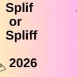 Splif or Spliff 2026