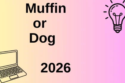 Muffin or Dog