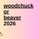 woodchuck or beaver
