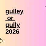 gulley or gully