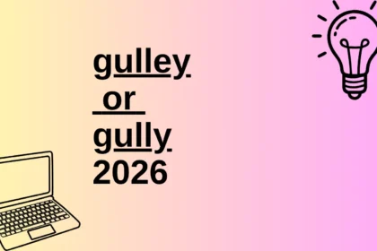 gulley or gully