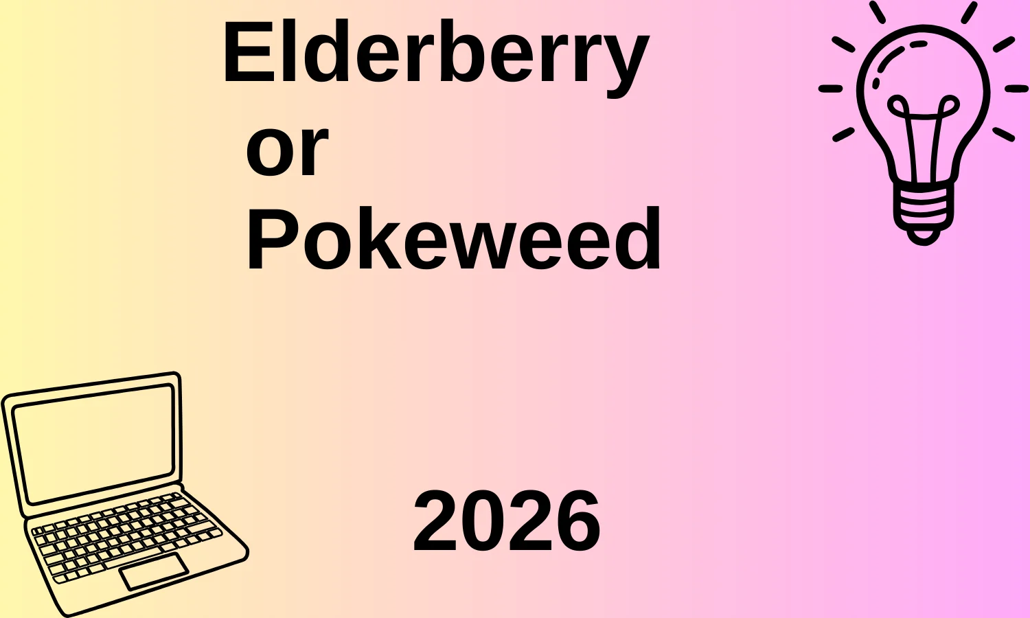Elderberry or Pokeweed
