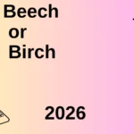 Beech or Birch