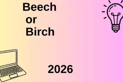 Beech or Birch