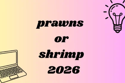 prawns or shrimp