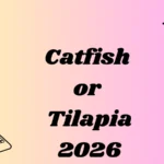 Catfish or Tilapia