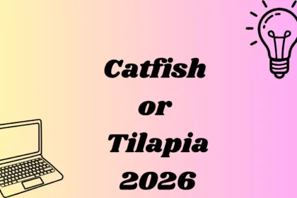 Catfish or Tilapia
