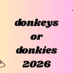 donkeys or donkies