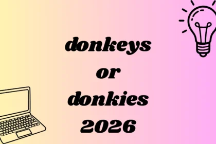 donkeys or donkies