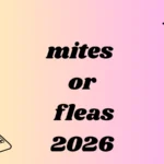 mites or fleas