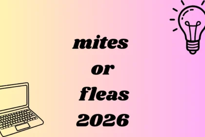 mites or fleas