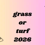 grass or turf