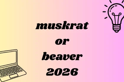 muskrat or beaver