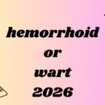 hemorrhoid or wart