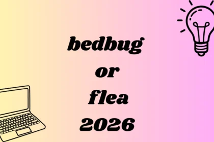 bedbug or flea