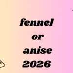 fennel or anise