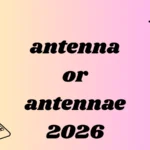 antenna or antennae