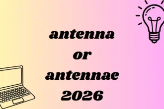 antenna or antennae