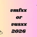 vmfxx or vusxx