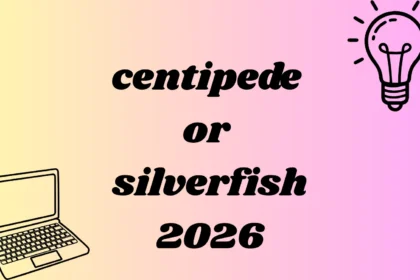 centipede or silverfish