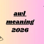 awl meaning