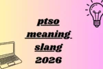ptso meaning slang