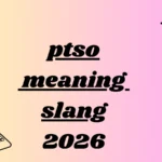ptso meaning slang