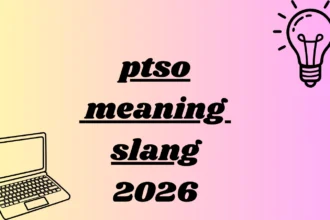 ptso meaning slang
