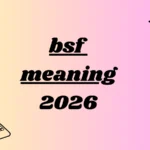 bsf meaning