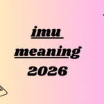 imu meaning