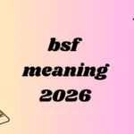 bsf meaning