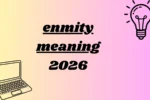 enmity meaning