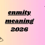 enmity meaning