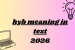 hyb meaning in text