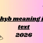 hyb meaning in text