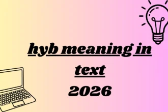 hyb meaning in text