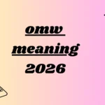 omw meaning