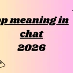 pp meaning in chat