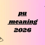 pu meaning