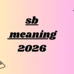 sb meaning