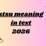 stsu meaning in text