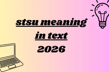 stsu meaning in text