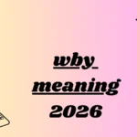 wby meaning