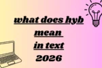 what does hyb mean in text