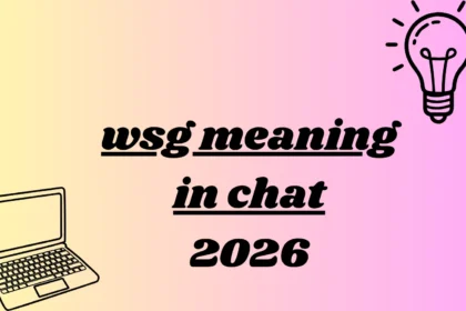 wsg meaning in chat
