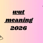 wut meaning