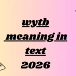 wytb meaning in text