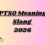 PTSO Meaning Slang