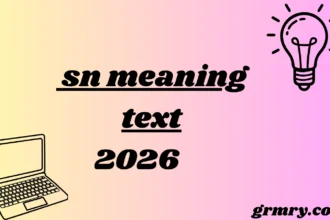 sn meaning text