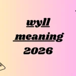 wyll meaning